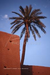 Image du Maroc Professionnelle de  Les remparts de Marrakech sont construits entièrement en pisé selon une technique séculaire par l'Almoravide Ali Ben Youssef au début de XIIème siècle pour se protéger des attaques extérieures. cette muraille s' étend sur dix-neuf kilomètres et atteint par endroit près de huit mètres de hauteur, Mardi 19 Août 1997. ((Photo / Abdeljalil Bounhar)